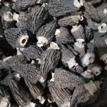 大别山精品羊肚菌鲜货干货羊肚菌礼盒羊肚菌肉厚纹路细个头大