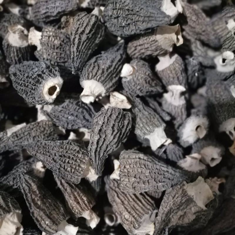 大别山精品羊肚菌鲜货干货羊肚菌礼盒羊肚菌肉厚纹路细个头大