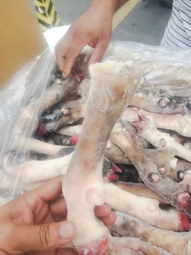产品名：羊蹄一斤称3个价厂家直销对接饭店单位欢迎联系合作