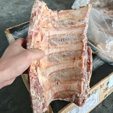 牛肋眼骨