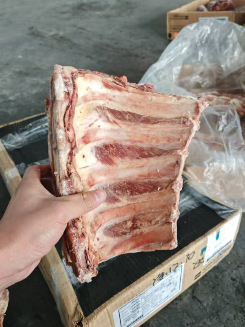 牛肋眼骨