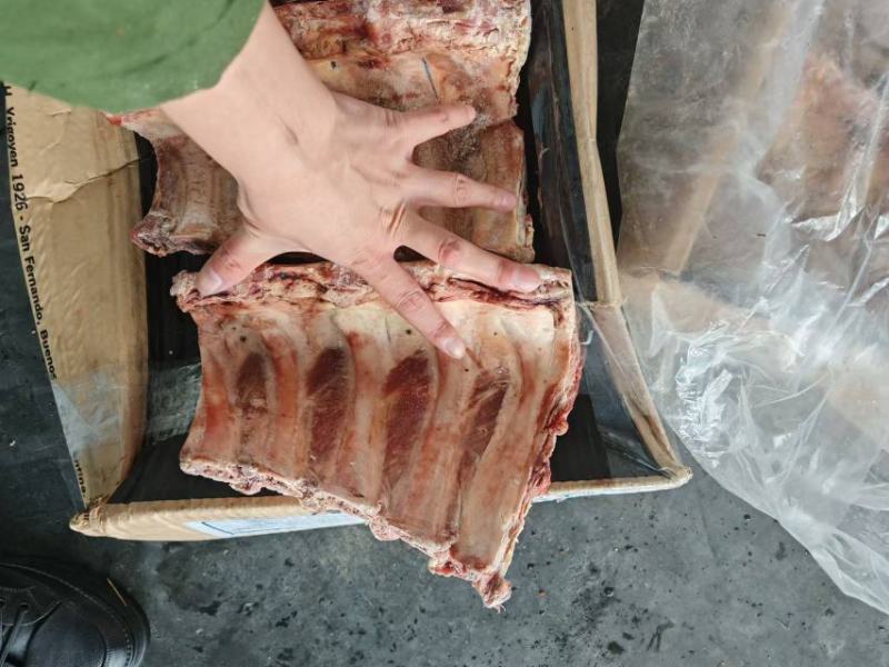 牛肋眼骨