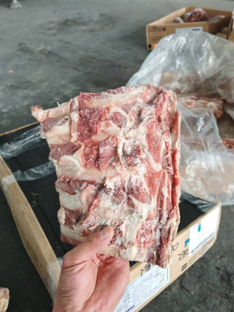 牛肋眼骨