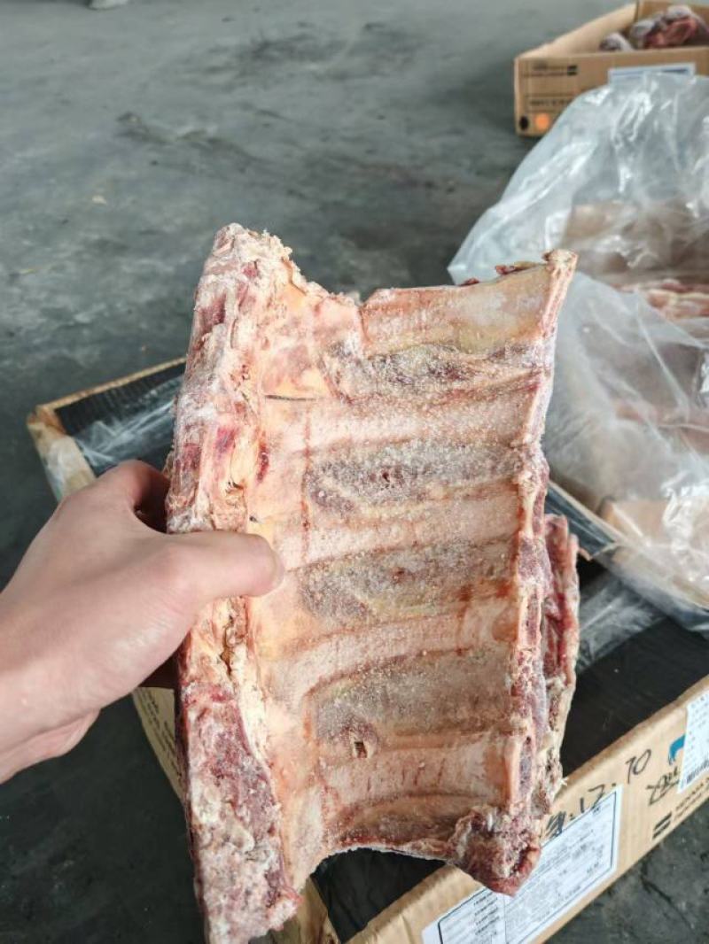 牛肋眼骨