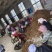 [热卖]辽宁抚顺朱砂点北苍术苍术苗种苗产地直发
