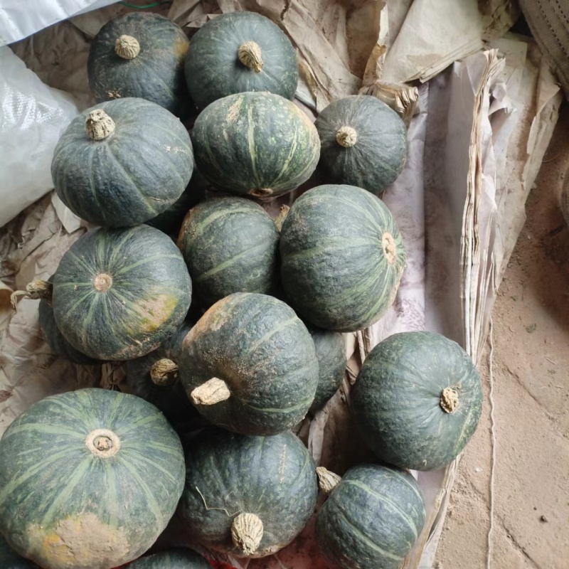 贝贝南瓜，板栗南瓜，南瓜，精品南瓜，精品贝贝南瓜