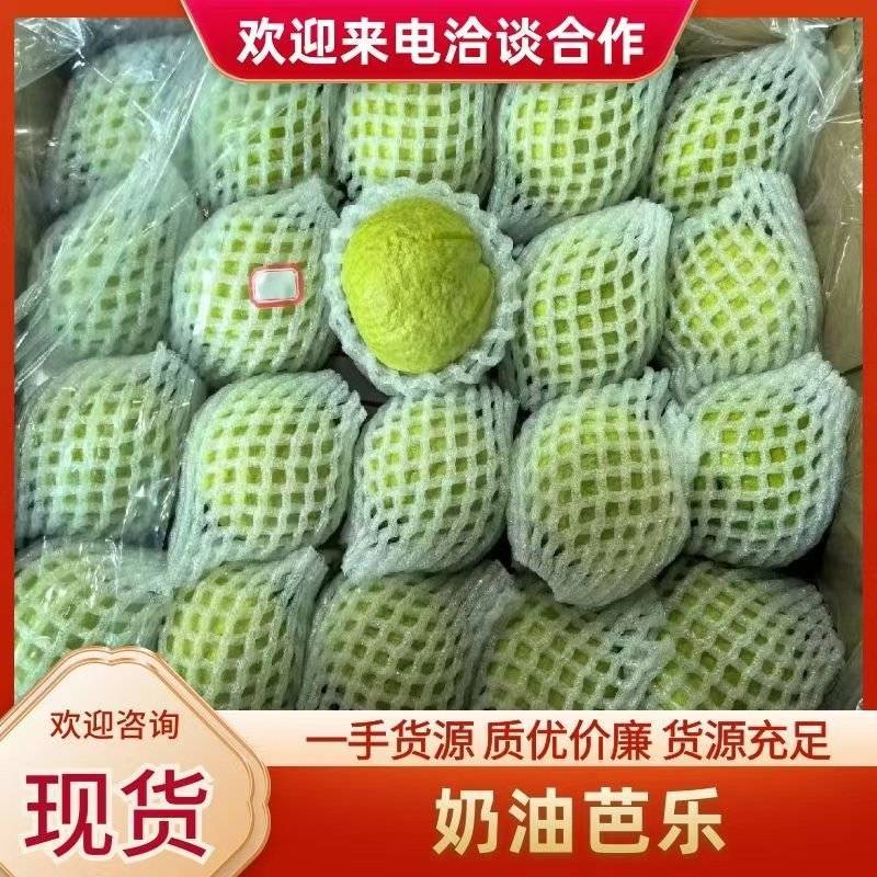 【精品番石榴】广东湛江基地直发质量保证一手货源欢迎订购