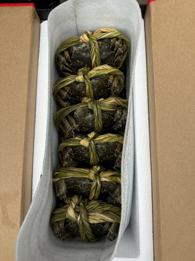 大闸蟹礼盒装新鲜供应视频看货规格种类齐全