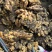 供应-(沙土/水洗/烘干姜)电商/出口/市场/食品加工厂