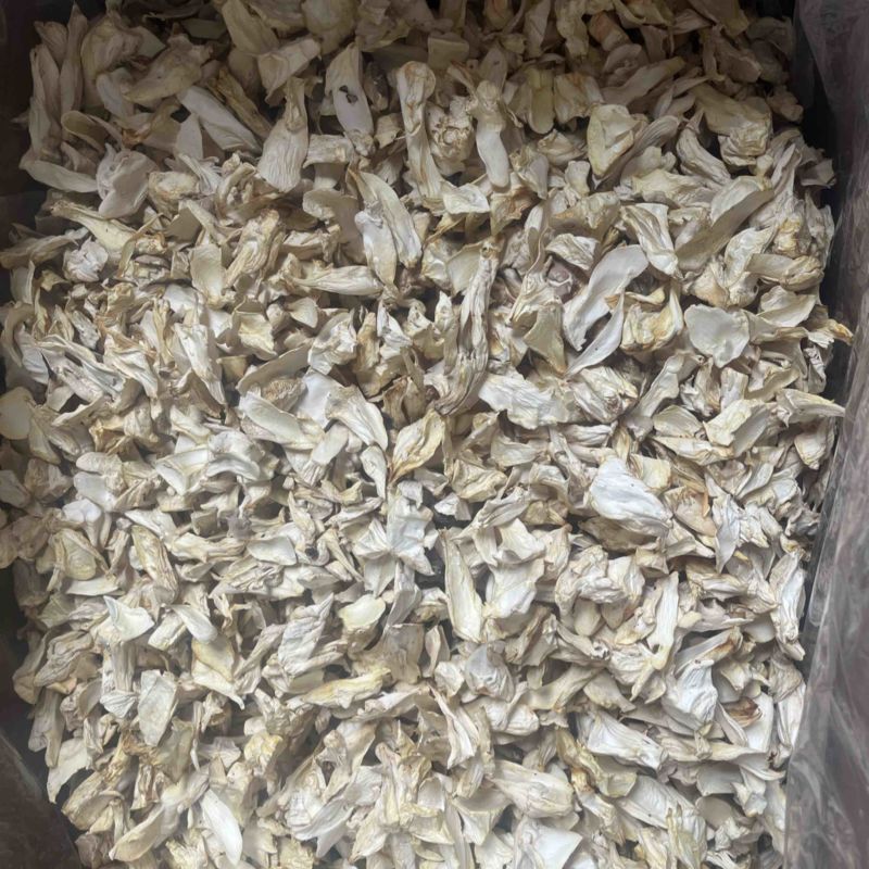 杏鲍菇根片菌汤包必备