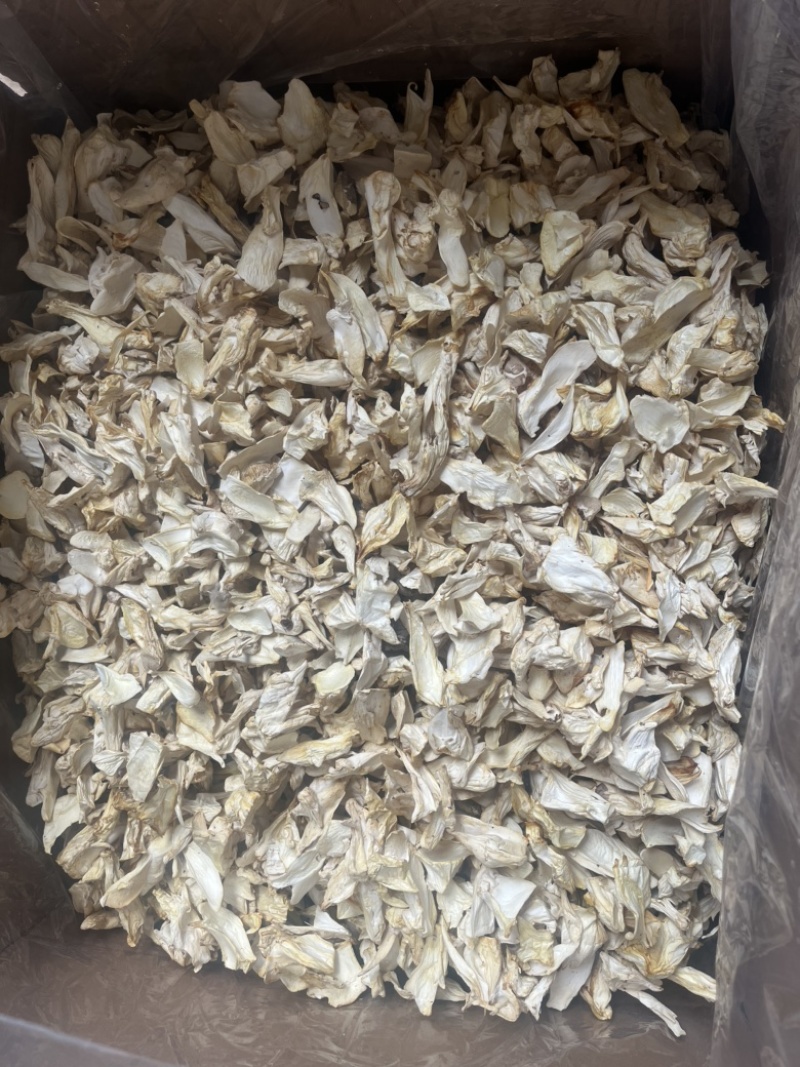 杏鲍菇根片菌汤包必备