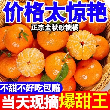 包邮【批发价】正宗金秋沙糖桔砂糖橘子批发薄皮10斤蜜桔
