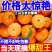 包邮【批发价】正宗金秋沙糖桔砂糖橘子批发薄皮10斤蜜桔