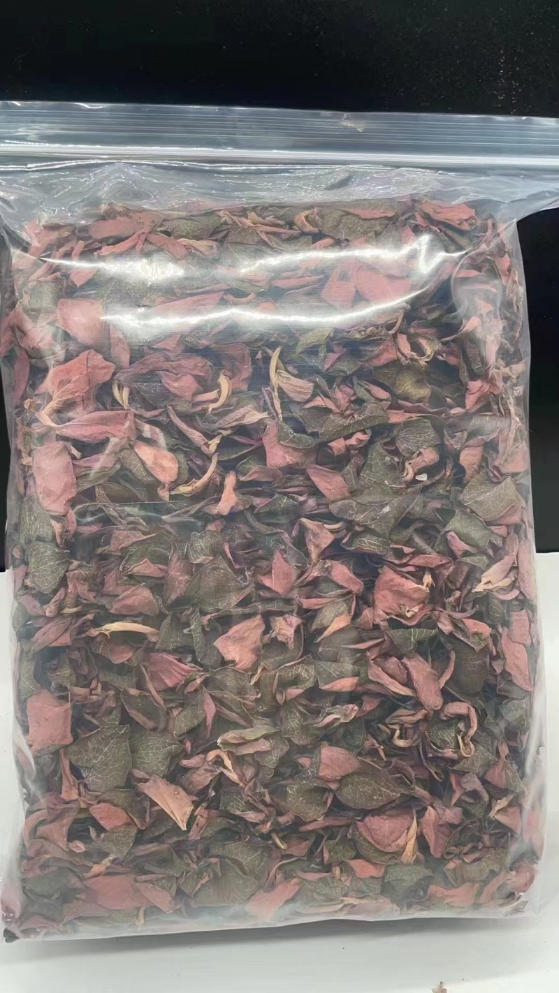 金线莲优质正品全国发货可视频看货