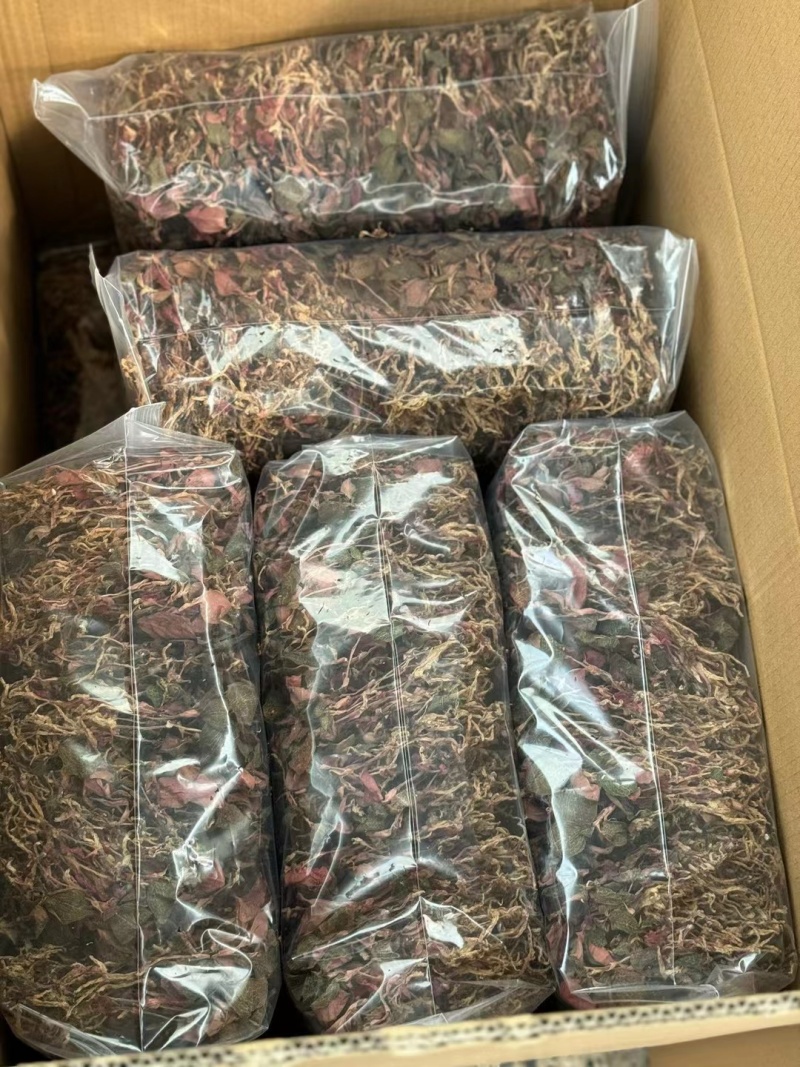 金线莲优质正品全国发货可视频看货