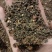 吴茱萸/全年有货/量大从优/自然晾晒/欢迎进店选购