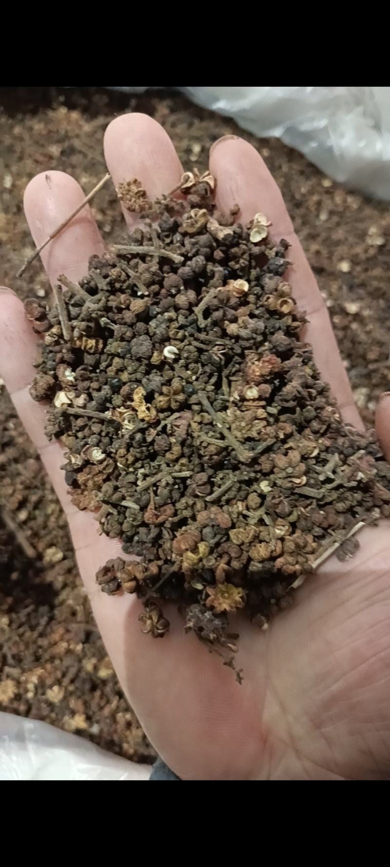 吴茱萸/全年有货/量大从优/自然晾晒/欢迎进店选购
