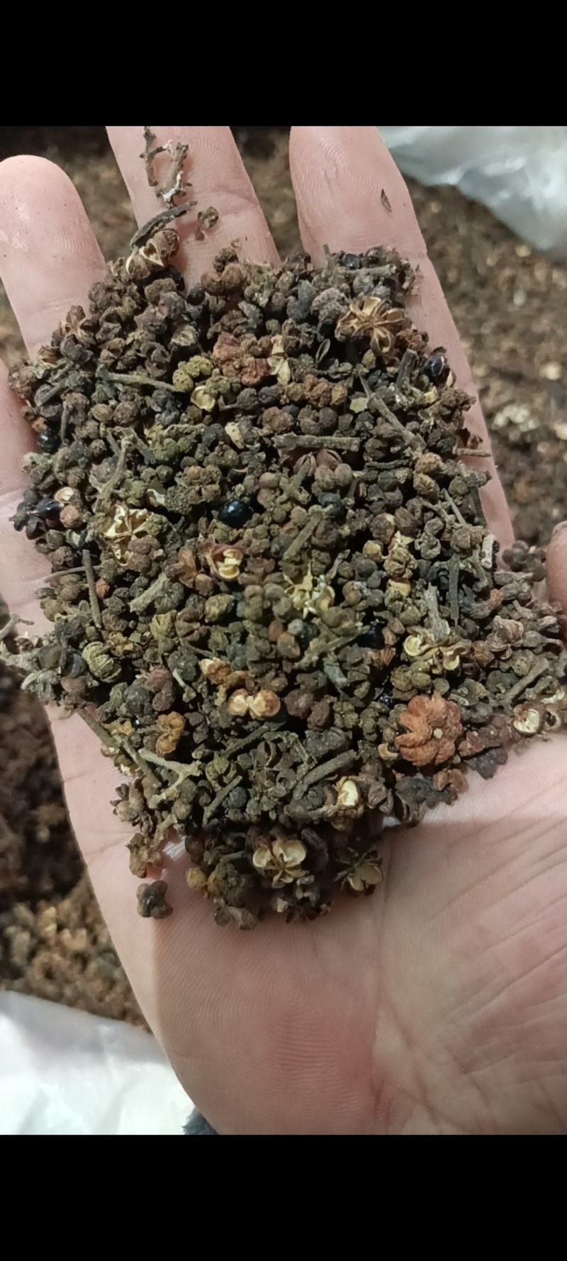 吴茱萸/全年有货/量大从优/自然晾晒/欢迎进店选购