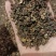 吴茱萸/全年有货/量大从优/自然晾晒/欢迎进店选购