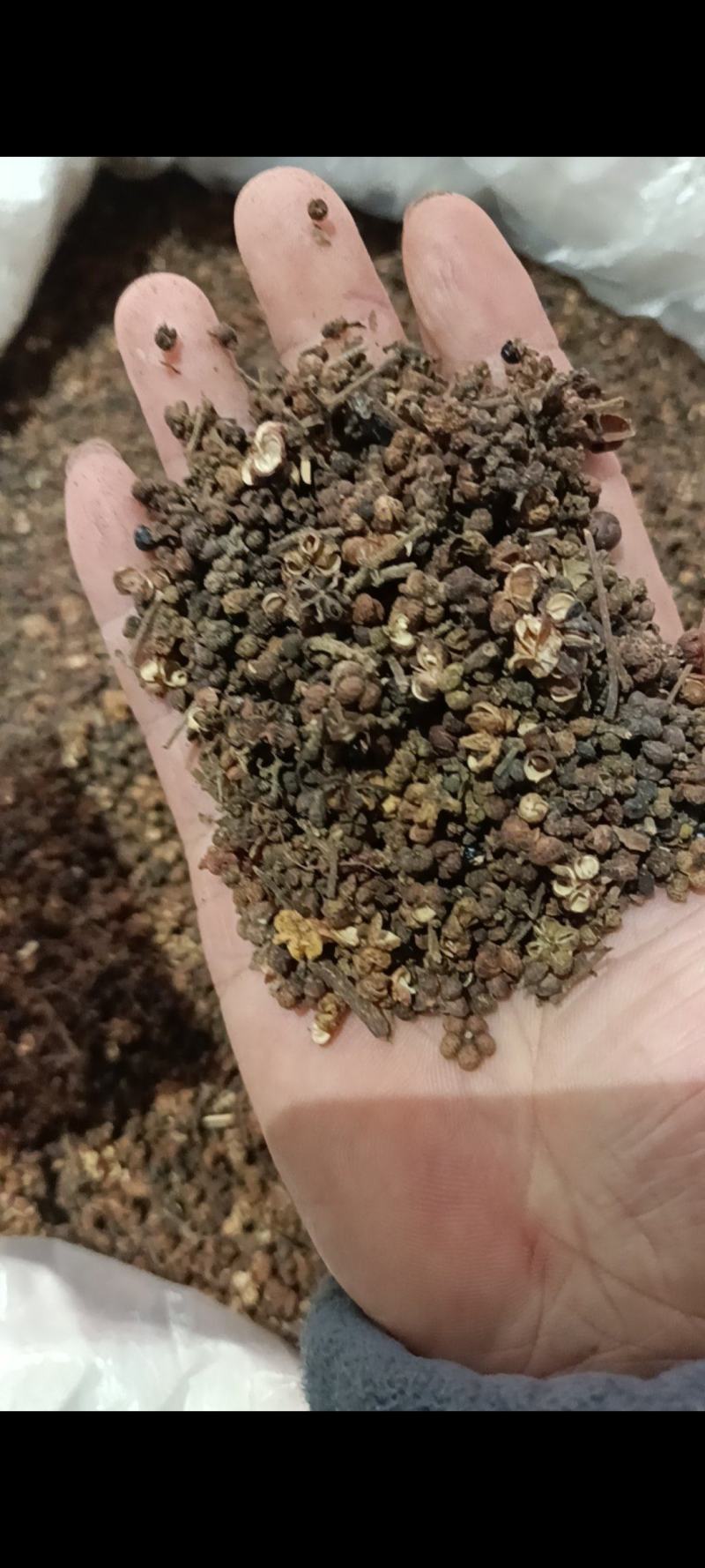 吴茱萸/全年有货/量大从优/自然晾晒/欢迎进店选购