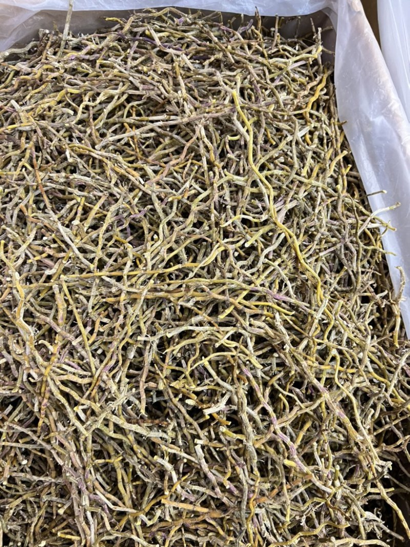 铁皮石斛干条，现货100斤，欢迎大家采购，量大价优