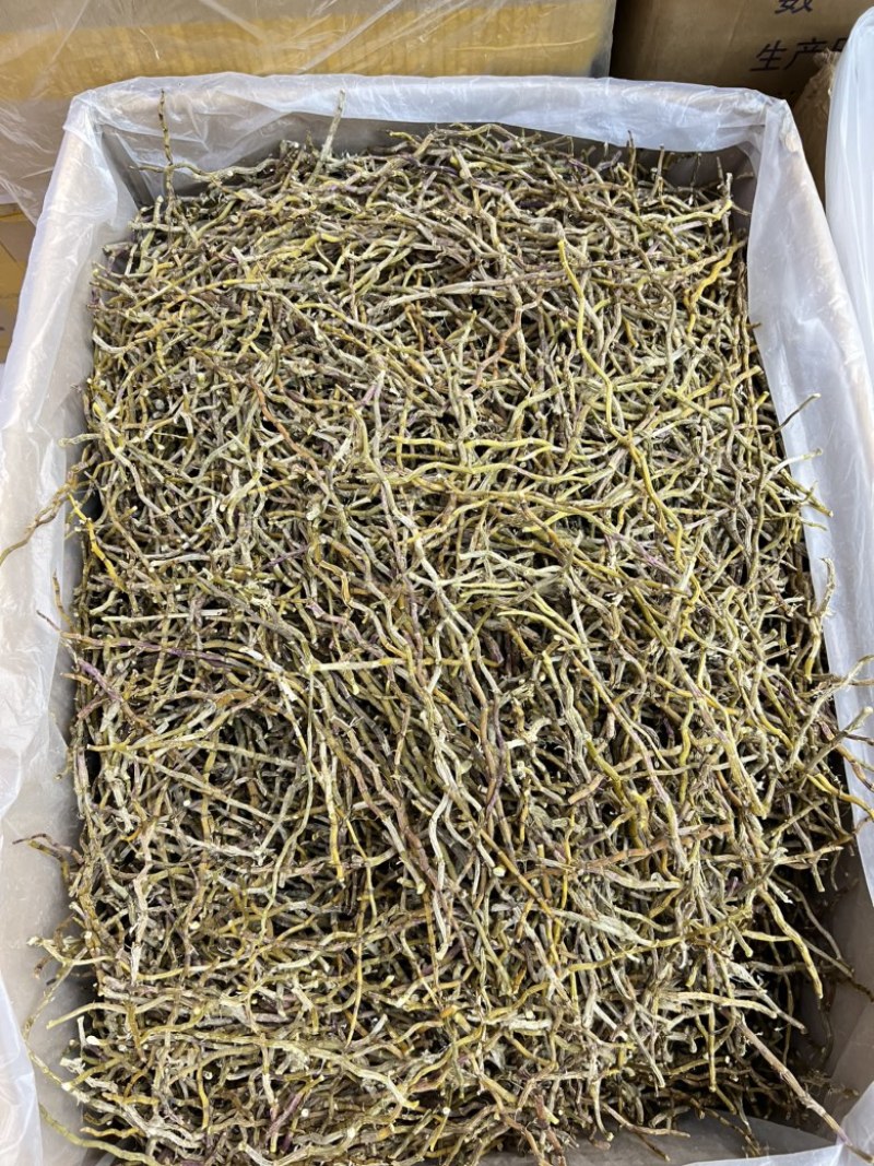 铁皮石斛干条，现货100斤，欢迎大家采购，量大价优
