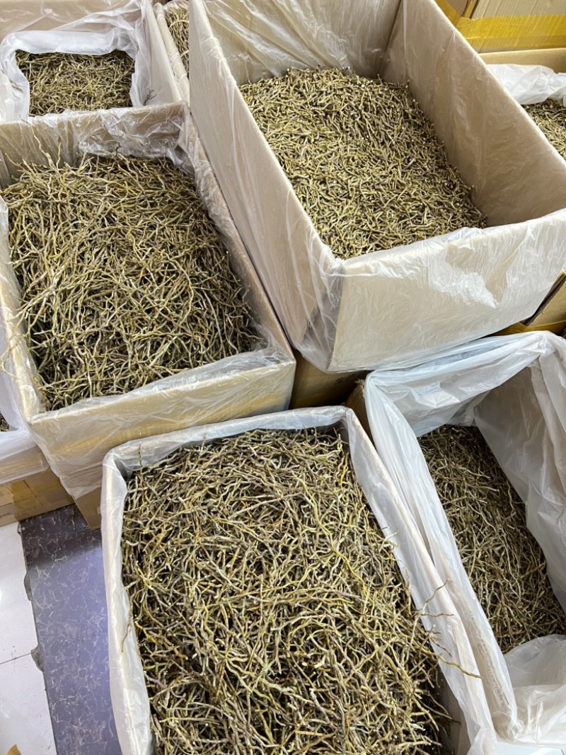 铁皮石斛干条，现货100斤，欢迎大家采购，量大价优
