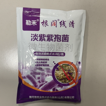 淡紫紫孢菌根阔线清抑制根结线虫的微生物菌剂抗土传病害养根