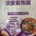 淡紫紫孢菌根阔线清抑制根结线虫的微生物菌剂抗土传病害养根