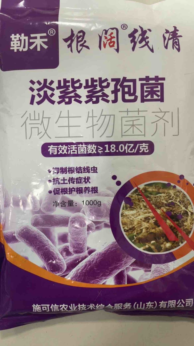 淡紫紫孢菌根阔线清抑制根结线虫的微生物菌剂抗土传病害养根