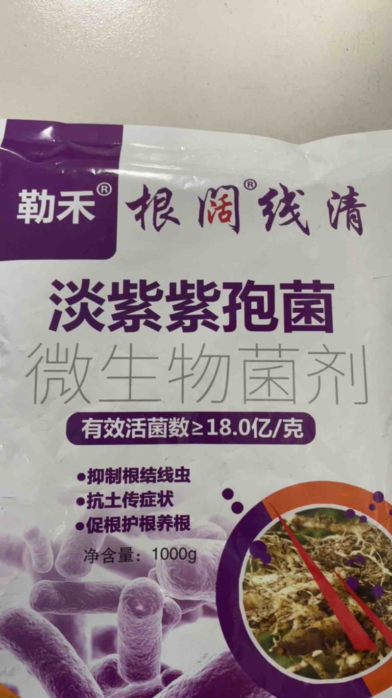 淡紫紫孢菌根阔线清抑制根结线虫的微生物菌剂抗土传病害养根