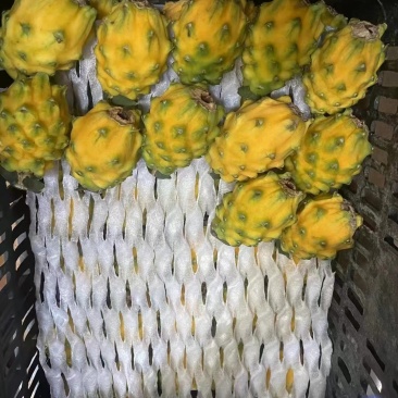 燕窝果