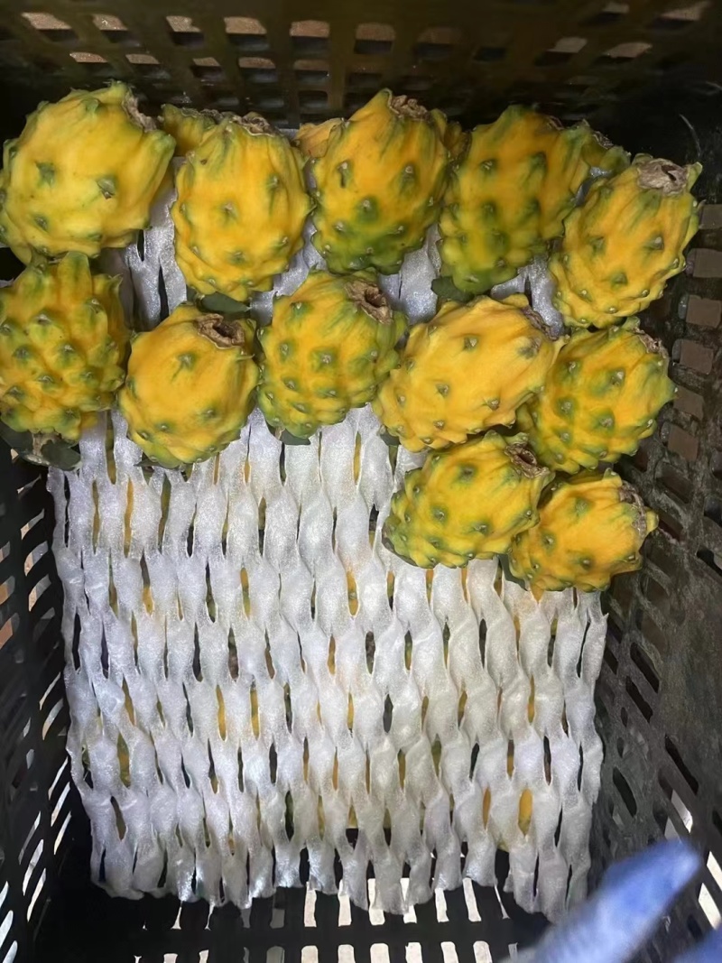 燕窝果