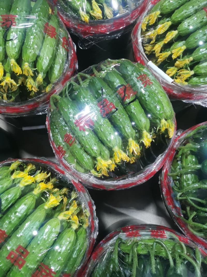 你好老板，我是葫芦岛绥中旱黄瓜产地代办，我叫姚萍，我这里