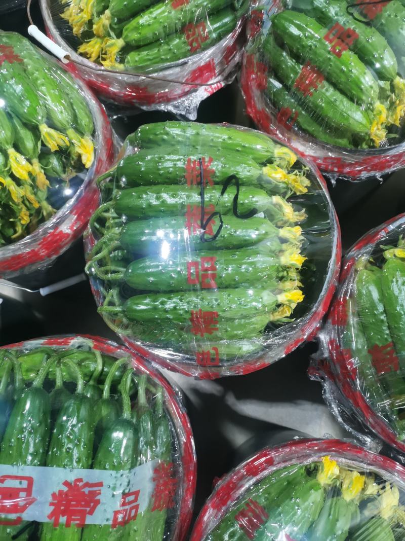 你好老板，我是葫芦岛绥中旱黄瓜产地代办，我叫姚萍，我这里