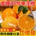 精品爱媛橙果冻橙大量上市资阳产地直供品质好价格低