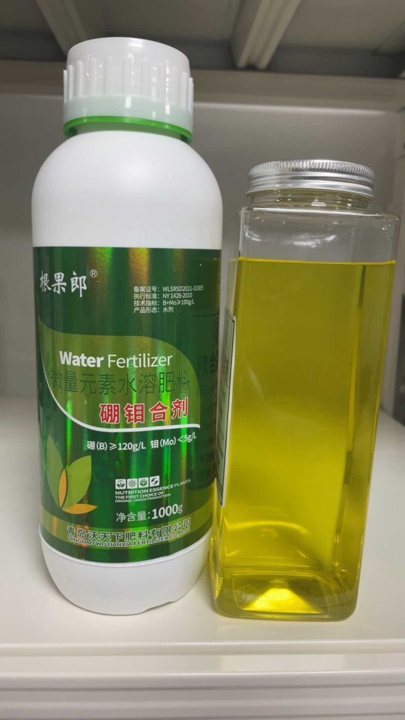 硼钼合剂增加产量提高座果率防畸形果豆类都在用