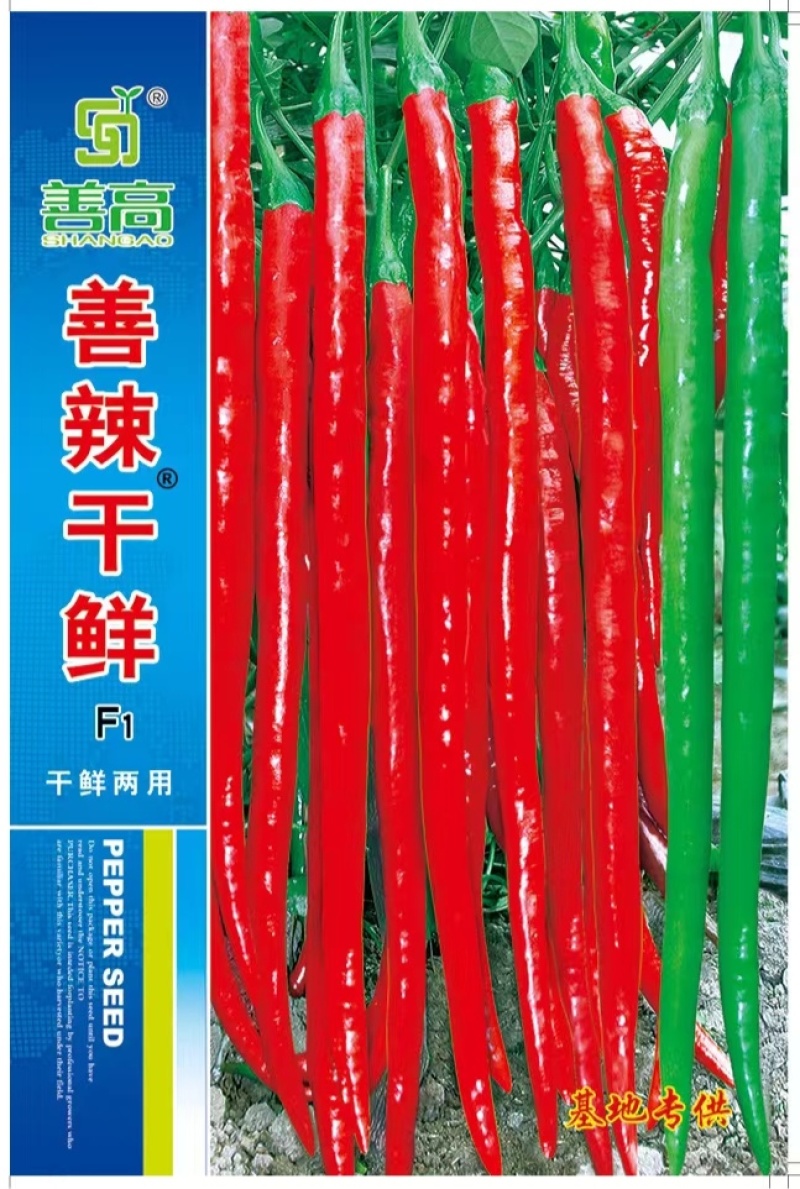 善辣干鲜薄皮长线细长香辣杂交辣椒种子种籽干鲜两用超高产早