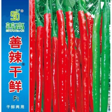 善辣干鲜薄皮长线细长香辣杂交辣椒种子种籽干鲜两用超高产早