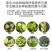 一夜绿一喷绿微量元素肥料植物叶面肥花卉蔬菜绿植黄叶变绿防