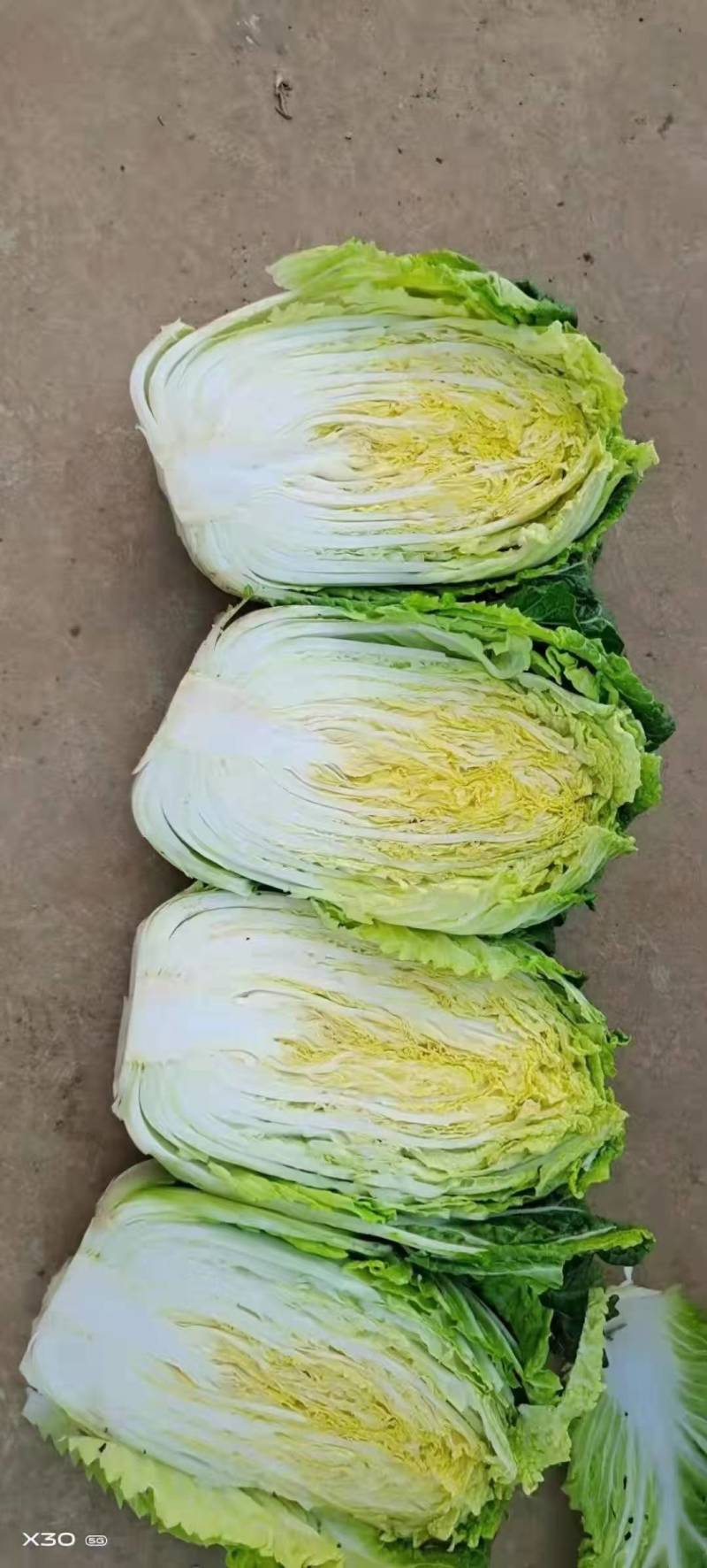 新鲜白菜，产地直供，健康绿色，**特惠，快来抢购！