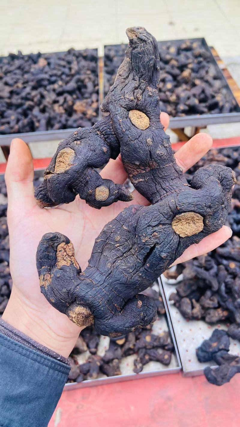 贵州多花黄精九蒸九晒农户直销大个头熟黄精