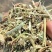 优质花生秧大量供应，无土无霉，质量保证，可视频看货