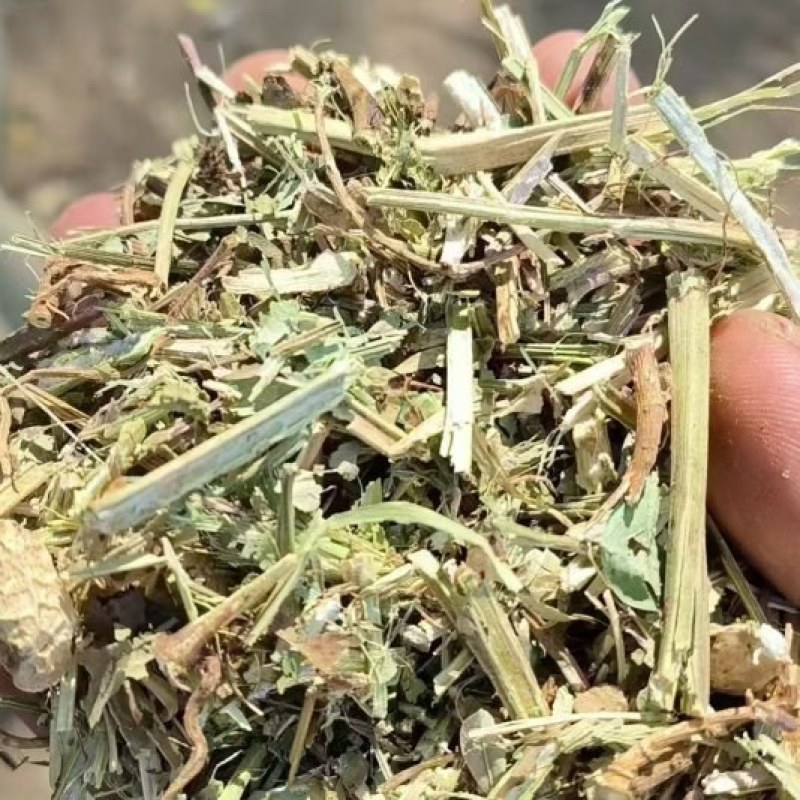 优质花生秧大量供应，无土无霉，质量保证，可视频看货