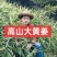 大肉姜生姜