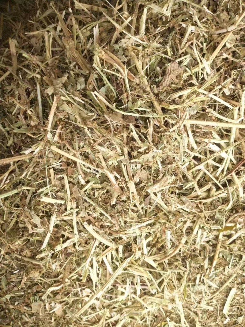 优质花生秧大量供应，无土无霉，质量保证，可视频看货