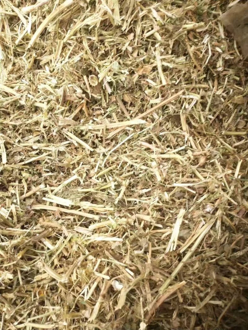 优质花生秧大量供应，无土无霉，质量保证，可视频看货