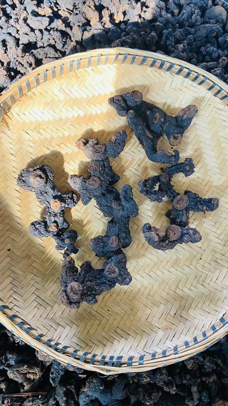 贵州野生九蒸九晒多花黄精老虎姜仙人余粮甜味足软糯