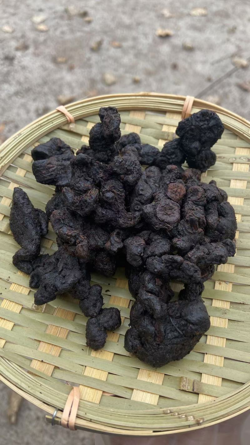 贵州野生九蒸九晒多花黄精老虎姜仙人余粮甜味足软糯