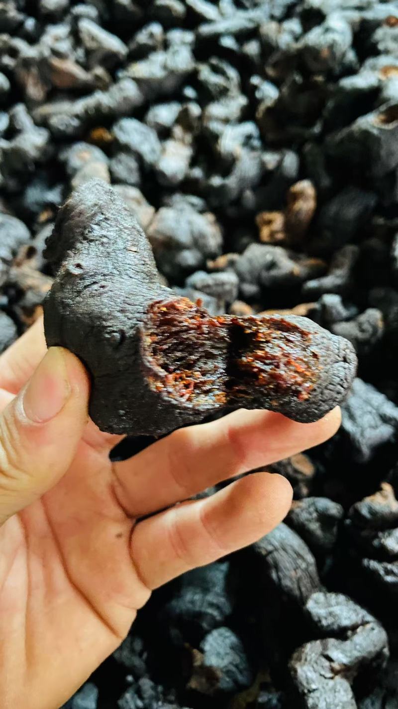 贵州多花黄精九蒸九晒农户直销大个头熟黄精
